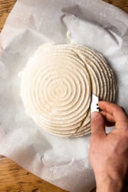 Easy Sourdough Bread Recipe: Step By Step Photos - Modern Farmhouse Eats