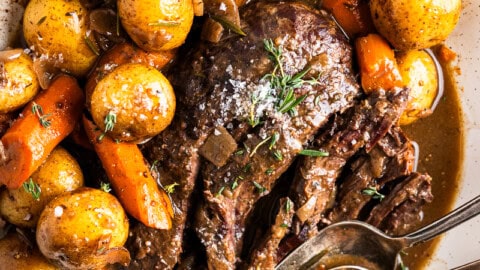 Instant pot roast online venison