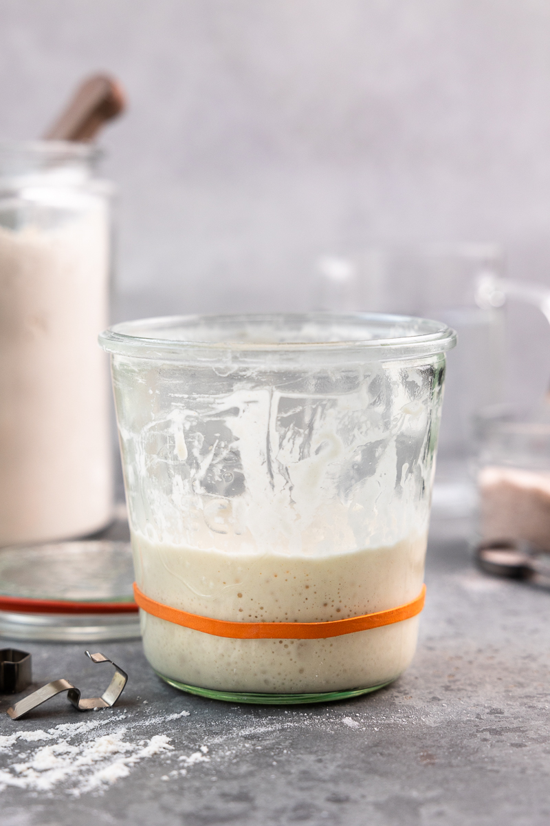 sourdough leaven in a jar